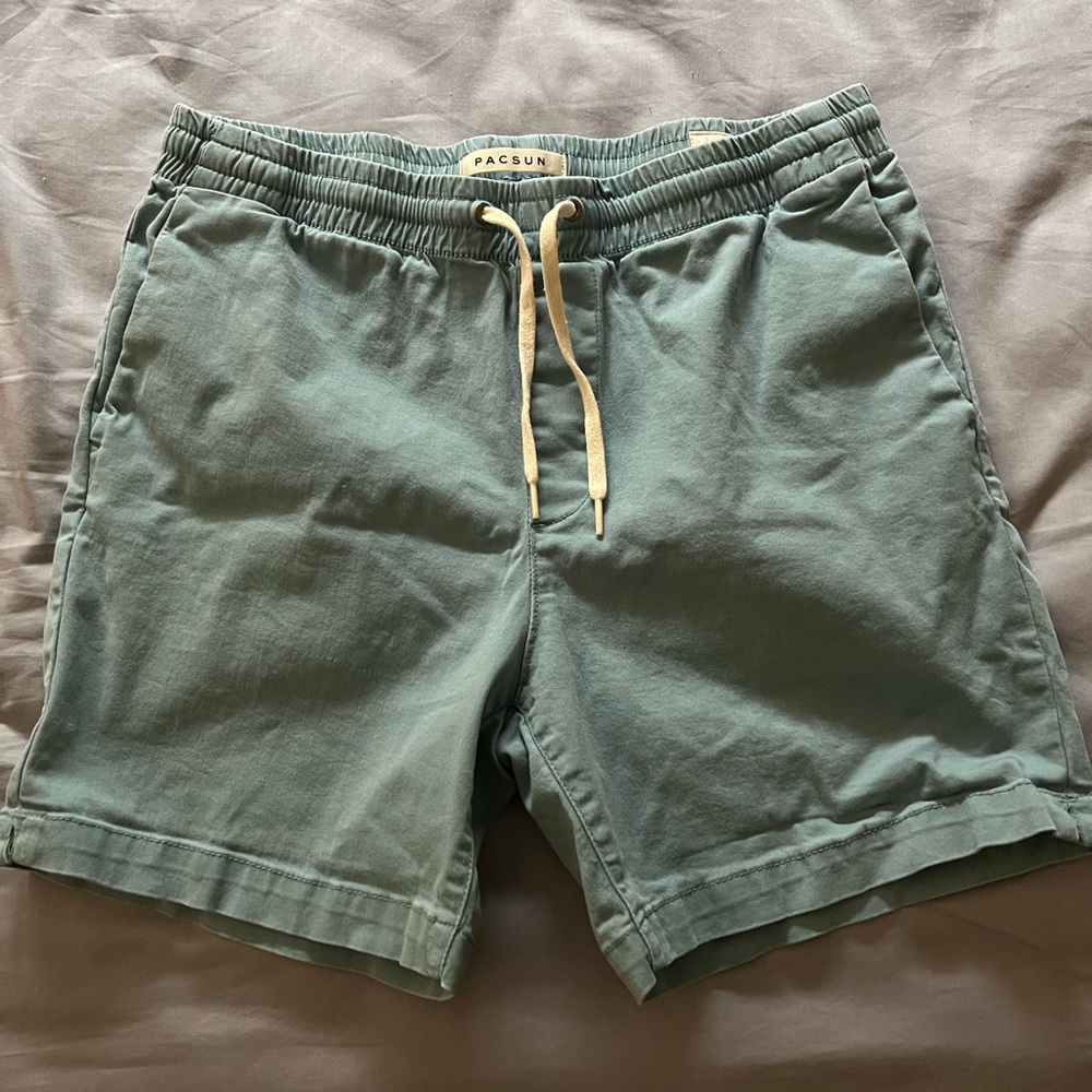 Pacsun Volley Shorts